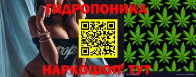 a pvp Рязань