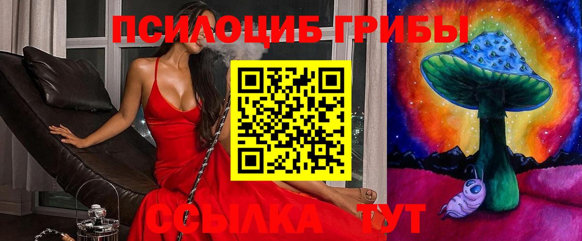 наркошоп  Вход с VPN  Полысаево  Галлюциногенные грибы GOLDEN TEACHER  Псилоцибиновые грибы GOLDEN TEACHER 