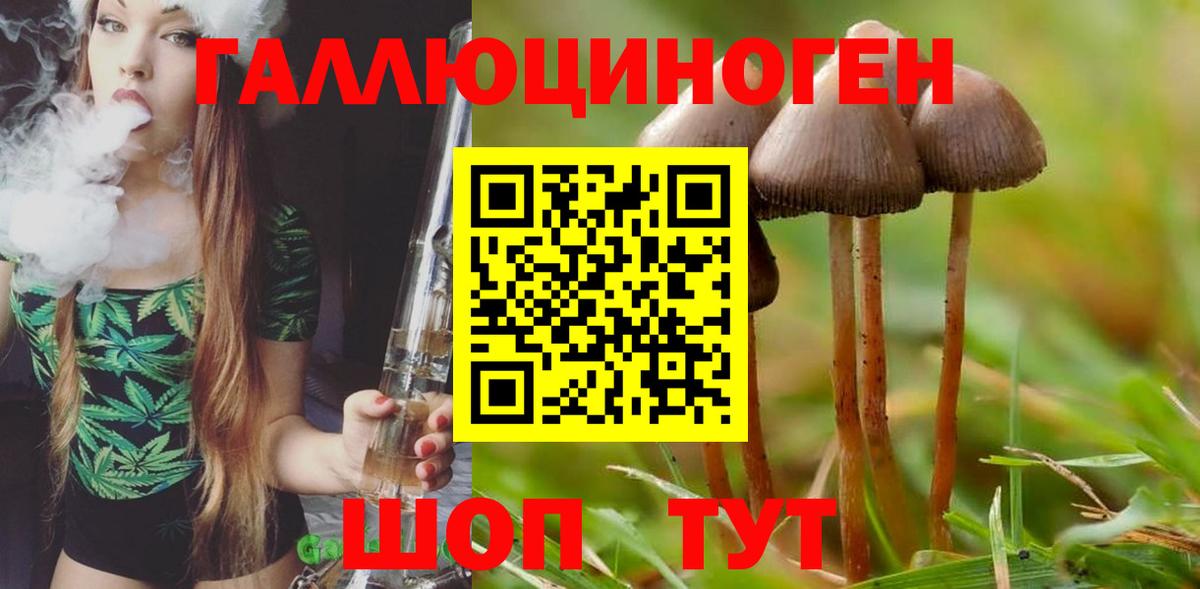 Псилоцибиновые грибы Magic Shrooms Полысаево